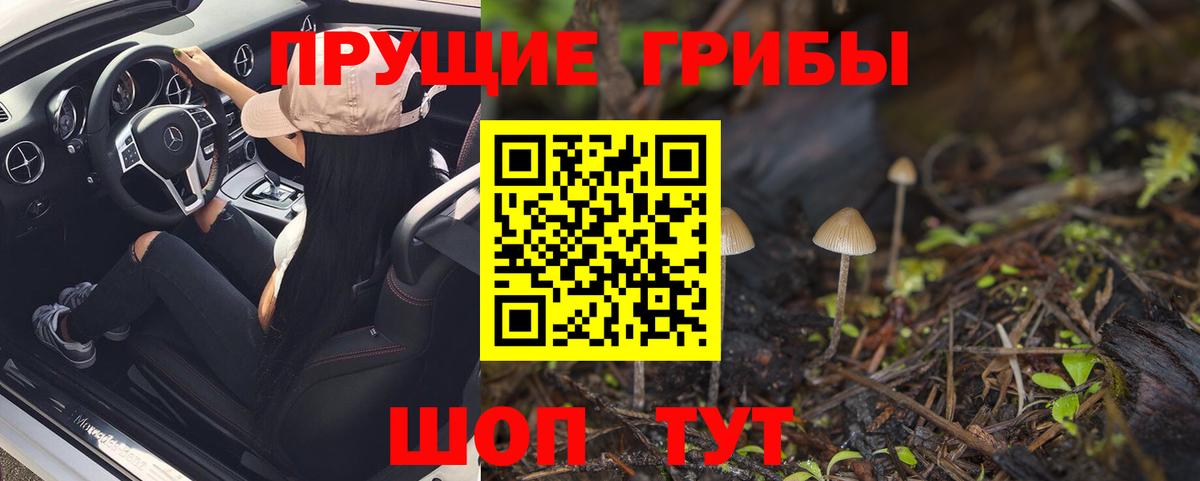 Горно-Алтайск  Галлюциногенные грибы ЛСД  Вход с VPN 